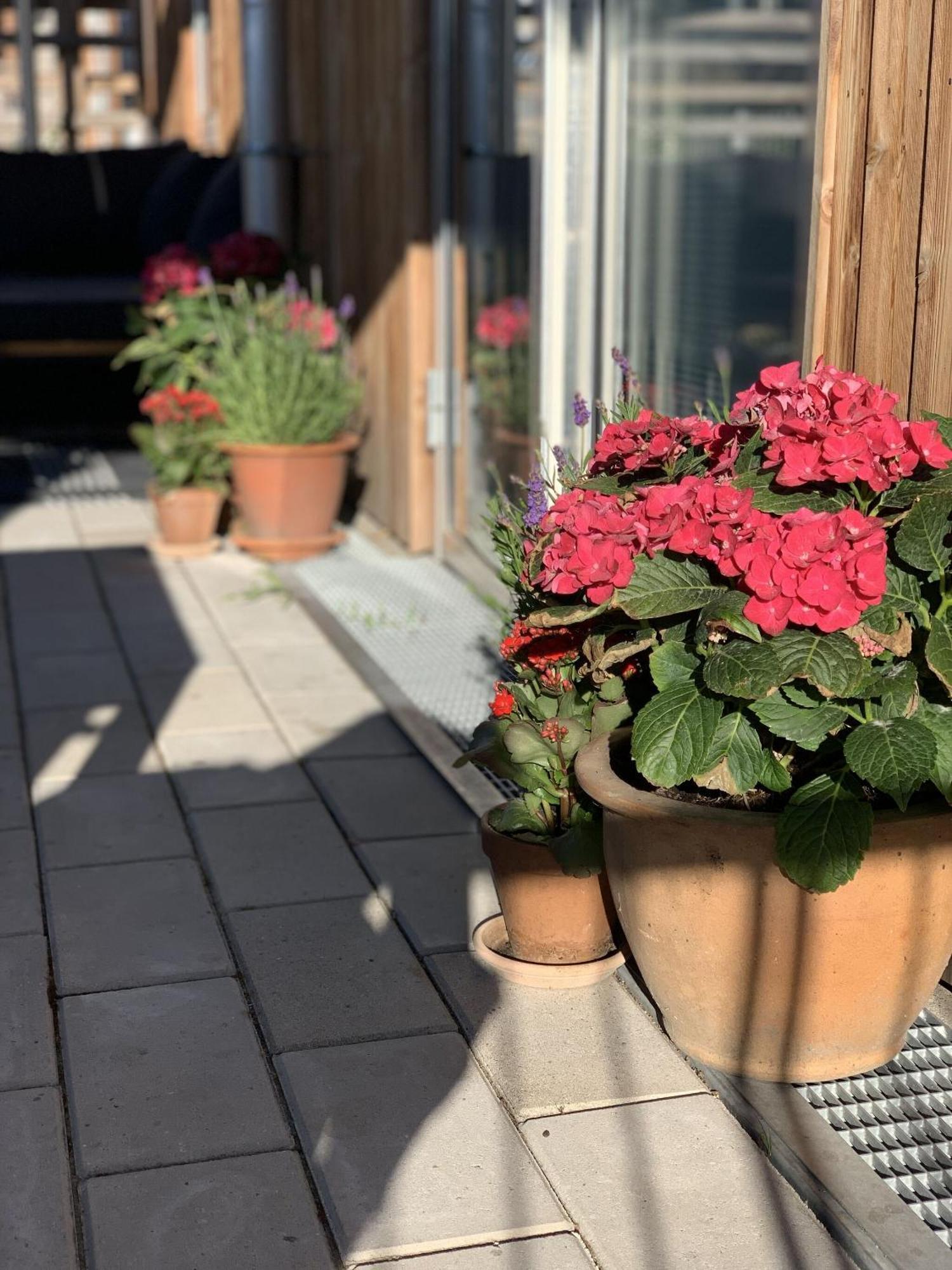 Apartmentincopenhagen Apartment 1460 Kültér fotó